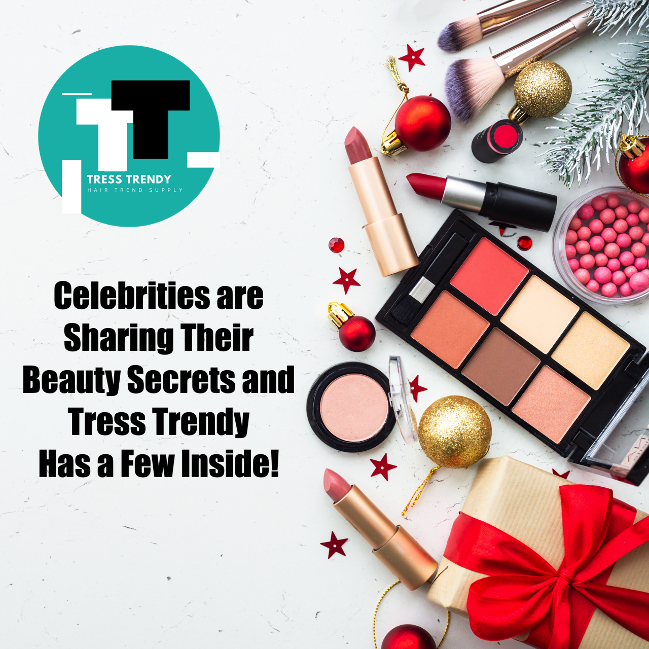 TT - Holiday Celebrity Secret Image